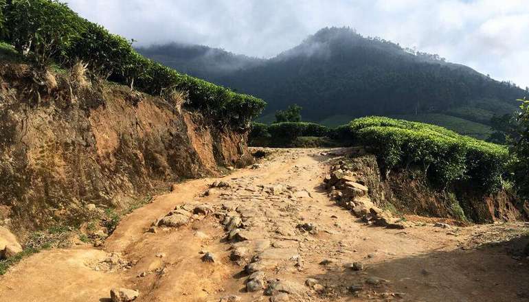 Kolukkumalai-Tea-Estate-off-road