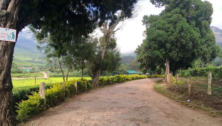Kolukkumalai Tea Estate road