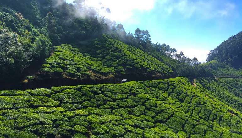 Kolukkumalai Tea Estate