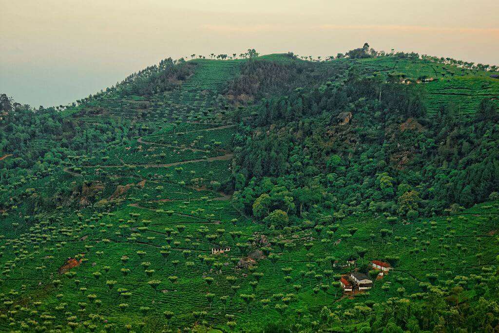 Kotagiri Nilgiris Hill stations of south india