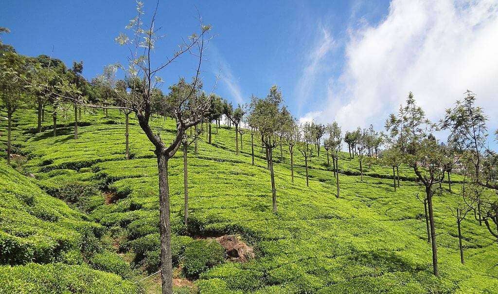 Ooty_hill_station_Tamil_nadu