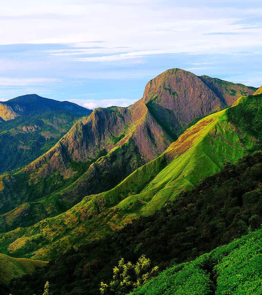 Top Station Cliffs at Munnar